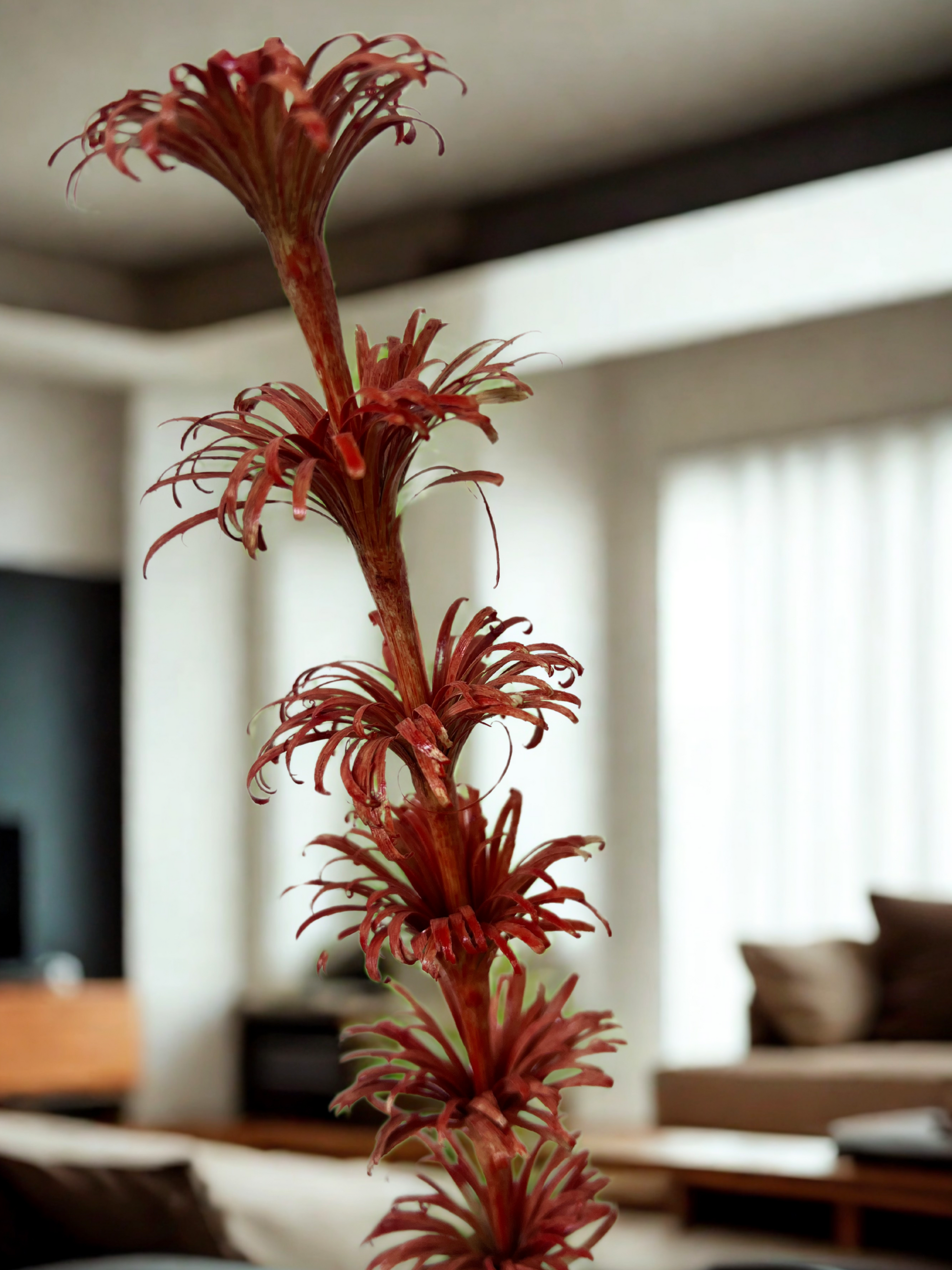 Handmade Dry Flower Sticks