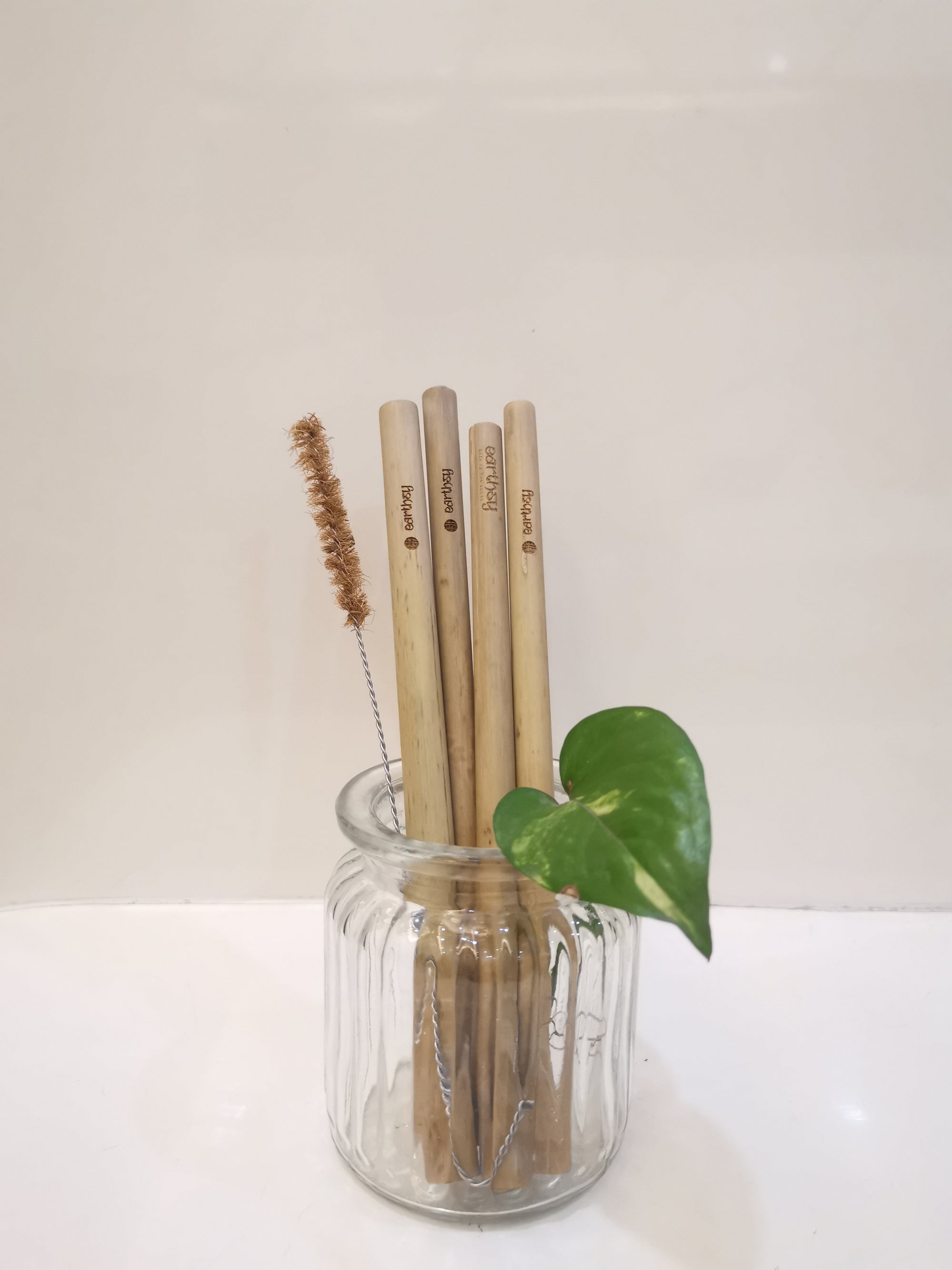 Bamboo Straws with Straw Cleaner (Pack of 4)