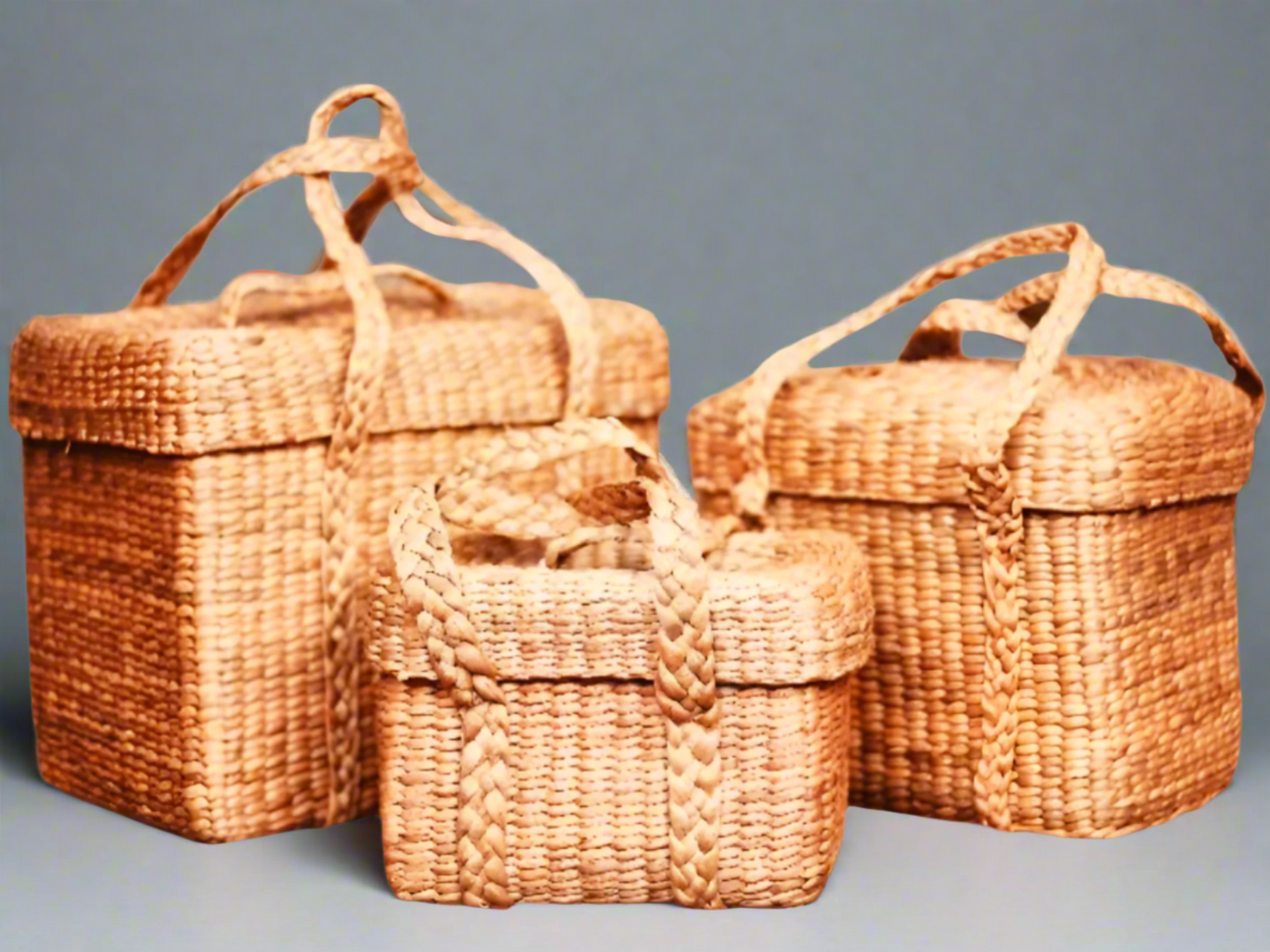 Water Hyacinth Picnic Basket Set (Set of 3)