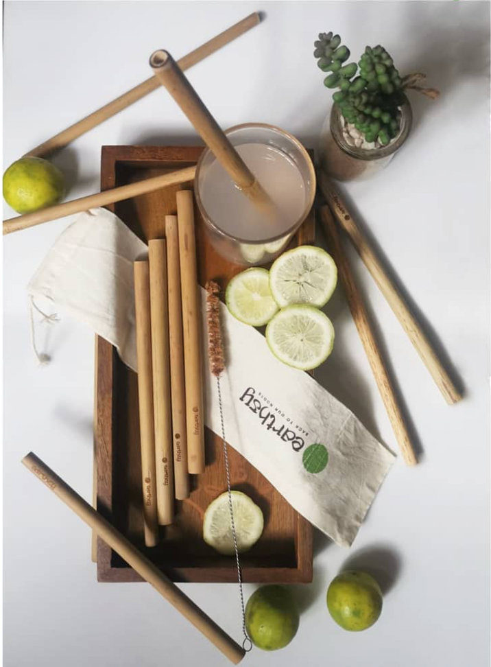 Bamboo Straws with Straw Cleaner (Pack of 4)