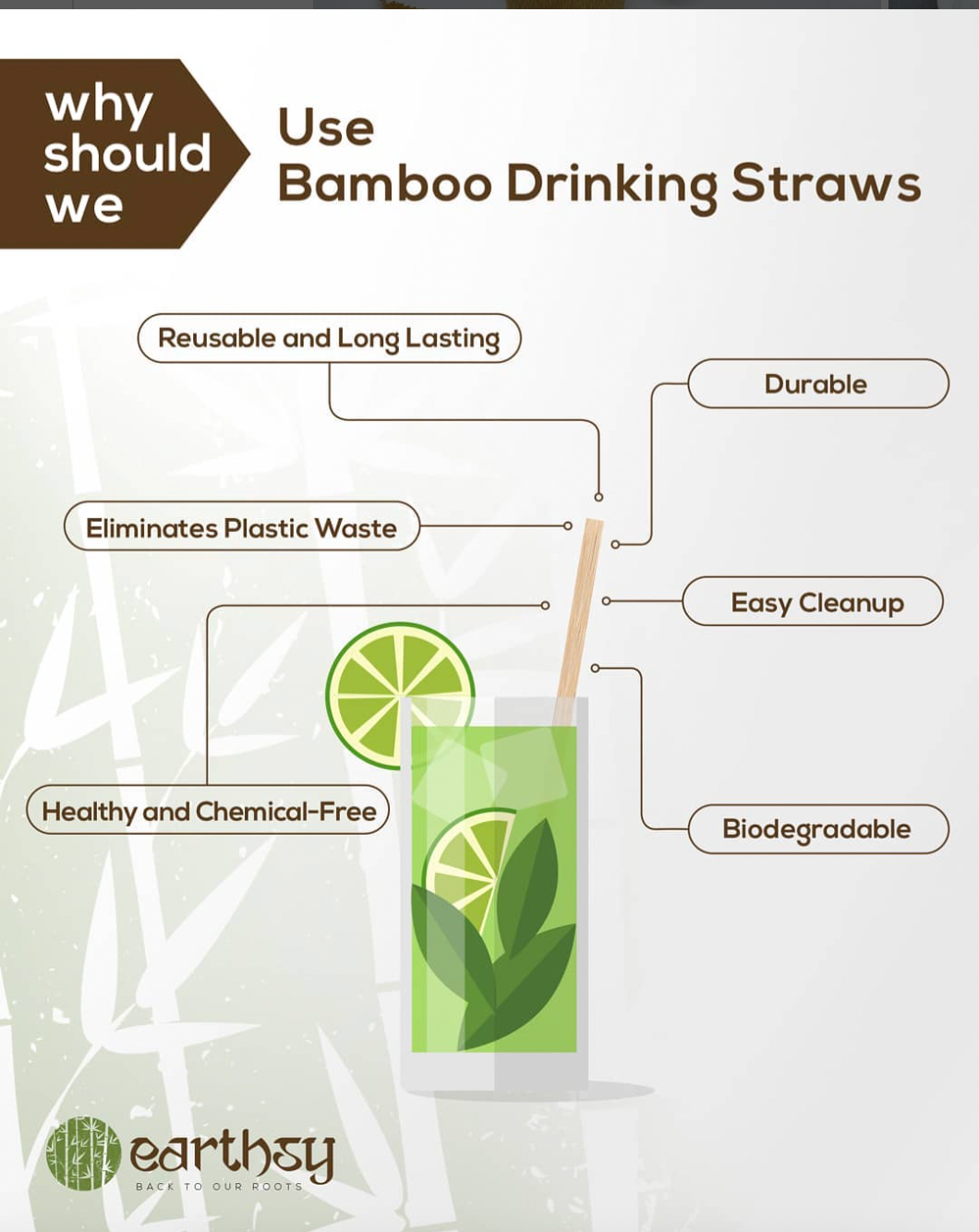 Bamboo Straws with Straw Cleaner (Pack of 4)