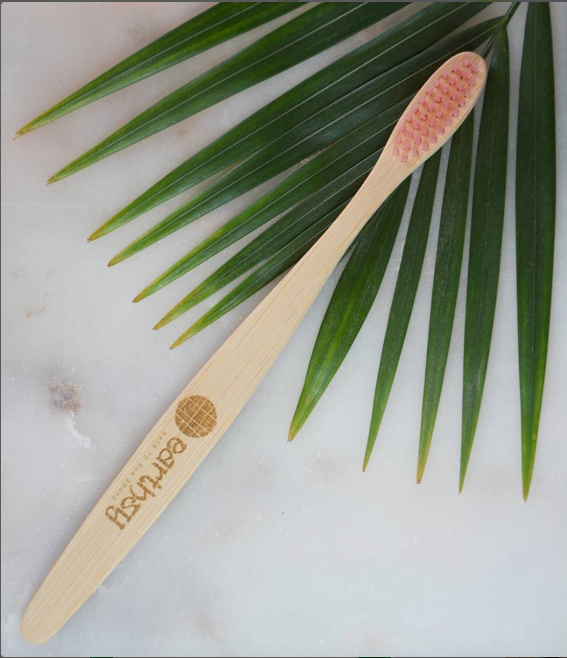 Bamboo Toothbrushes (Set of 2)