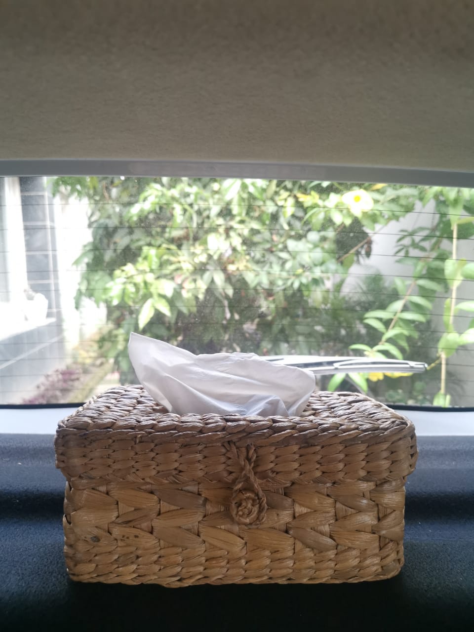 Water Hyacinth Tissue Box