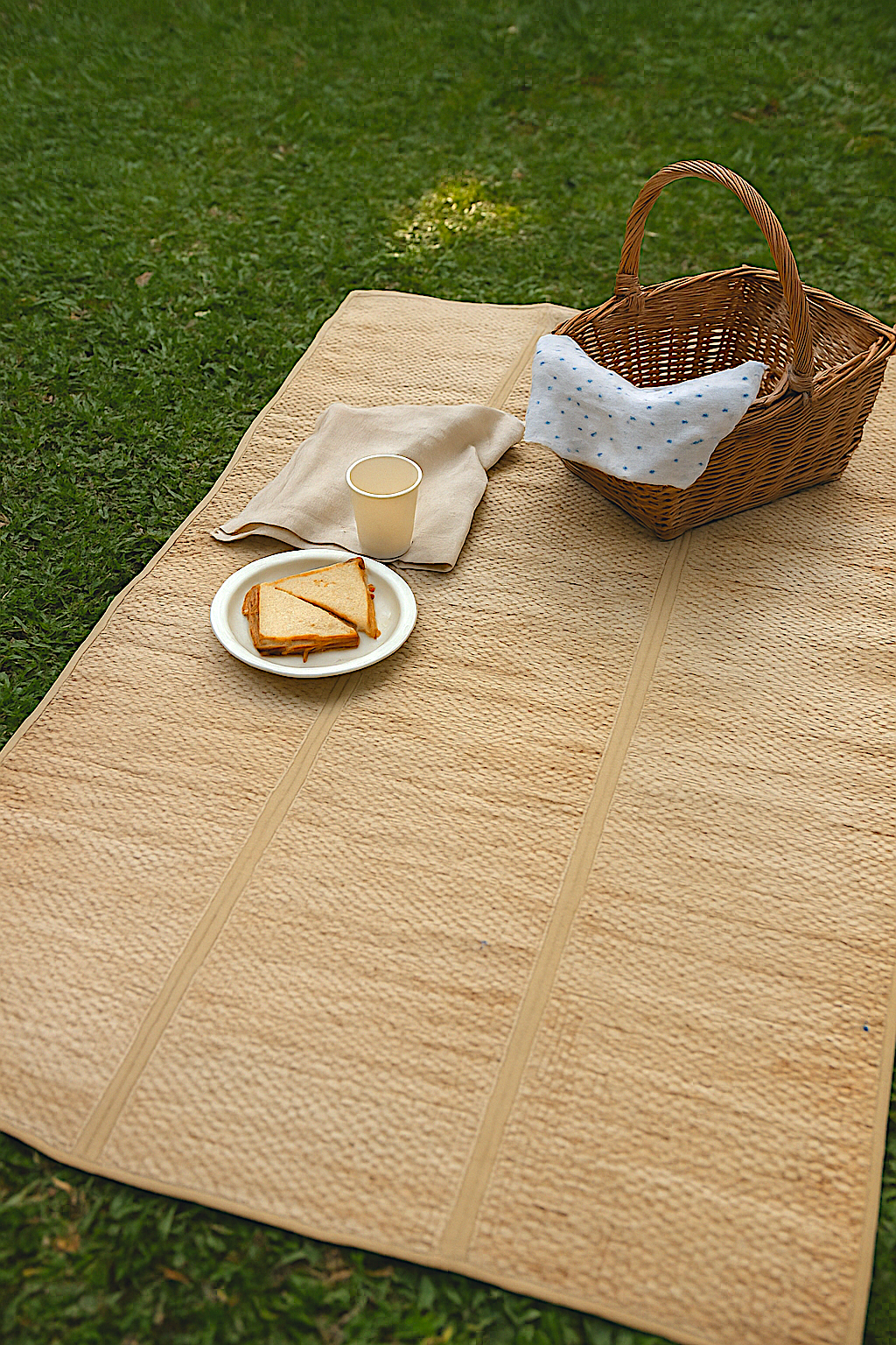 Water Hyacinth Foldable Picnic Mat