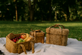 Water Hyacinth Picnic Basket Set (Set of 3)