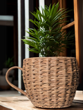 Water Hyacinth Cup Planter
